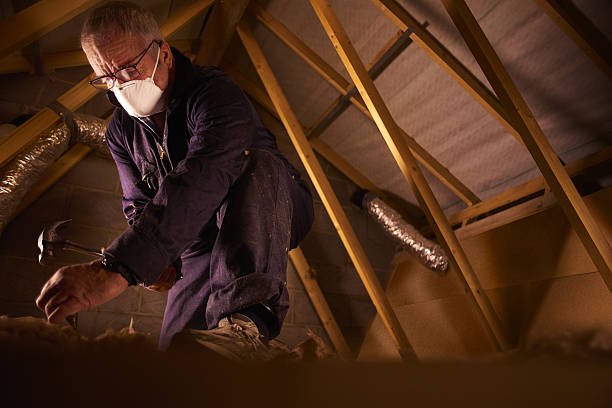 Best Insulation Maintenance and Repair in Kingman, KS